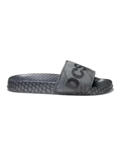 DC Grey Special Edition Slides