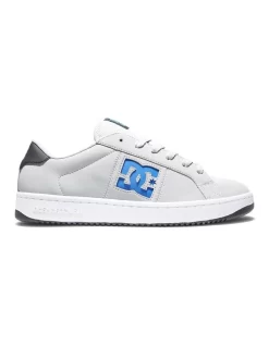 DC Striker Grey Shoes